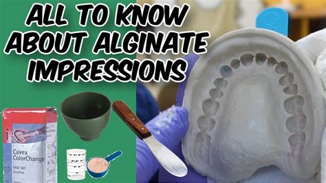 Alginate Impressions Dental Youtube