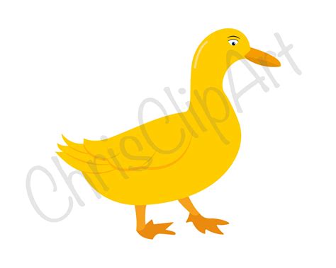 Duck Png Duck Svg Duck Clipart Duck Sublimation Duck Etsy México