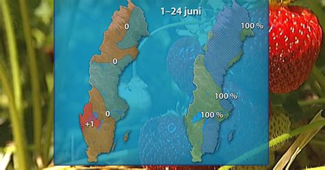 Sval Avslutning Med En Kylig Midsommar SVT Nyheter