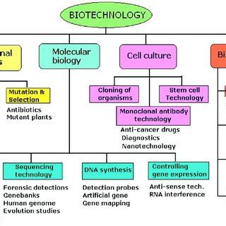 (PDF) Medical Biotechnology: Problems and Prospects in Bangladesh