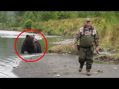 8 Scariest Bear Encounters You Shouldn T Click On YouTube