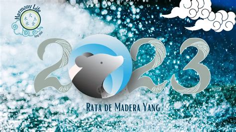 Diciembre 2023 Rata De Madera Yang Descubre Lo Que Este Mes Tiene