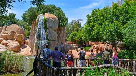 Valencia Bioparc Celebra Ma Ana El D A Del Medioambiente Con