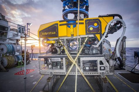 Discovering Deep Sea Corals Of The Phoenix Islands Schmidt Ocean