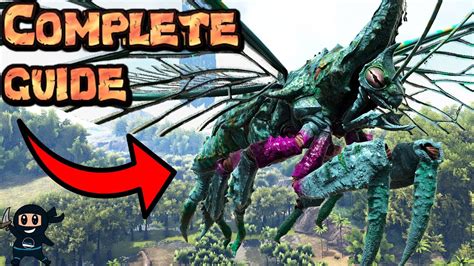 Rhyniognatha In Depth Guide Ark Survival Evolved Youtube