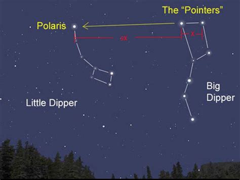 Big Dipper Archives – Malaspina Naturalists