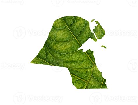 Kuwait Map Made Of Green Leaves Ecology Concept Png