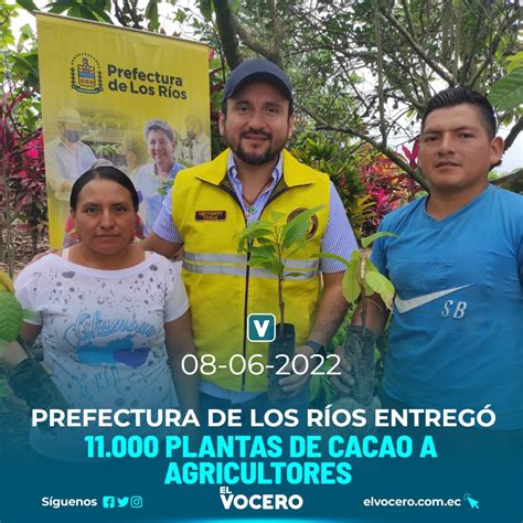 Prefectura De Los R Os Entreg Plantas De Cacao A Agricultores