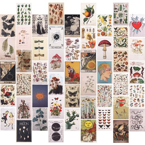 Buy Wall Collage Kit 50 Pcs Vintage Botanical Wall Collage S Aesthetic