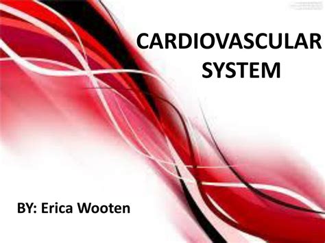 Cardiovascular System Ppt Free