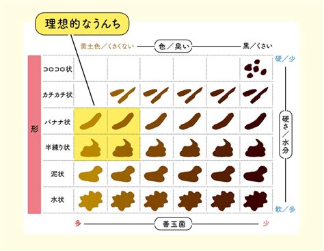 つらい便秘は食べ物で改善！食物繊維の選び方を教えます【うんち診断図つき】 習い事の検索予約サイト[eparkスクール]