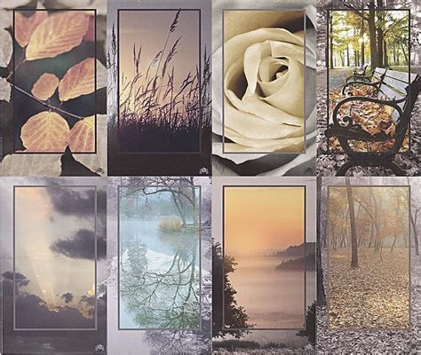 319 - 8 Card Set - Nature Shadows - Memorial Cards Inc.