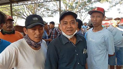 BORONG SEMUA SAPIBOS SUMBER TERNAK H BAMBANG BORONG SAPI DI PASAR