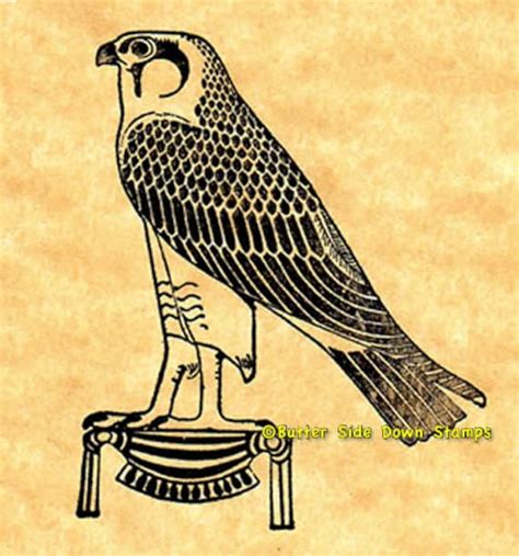 Horus Falcon Drawing