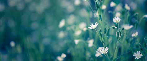 Acne Alles Wat Je Erover Moet Weten FinneFleur