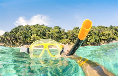 7 Best Places for Snorkeling In Bermuda | Enjoy Travel