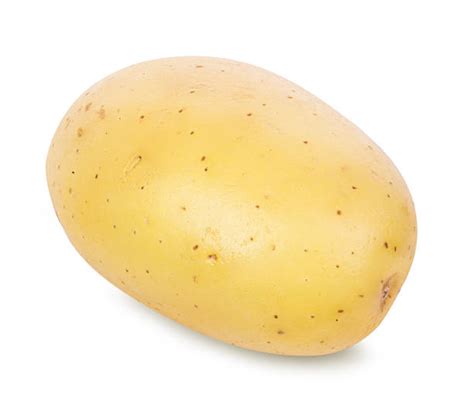 Best One Potato Stock Photos Pictures And Royalty Free Images Istock