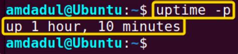 The Uptime” Command In Linux 5 Practical Examples