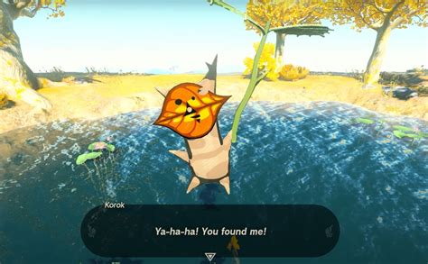 Tears Of The Kingdom Great Sky Island Korok Seed 9 Location