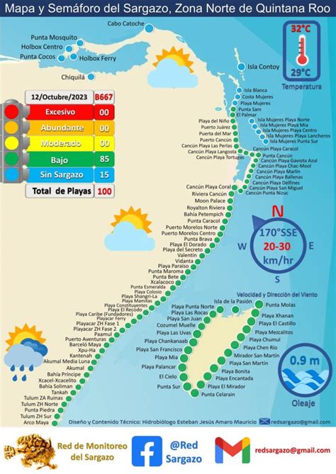 Semáforo del Sargazo en Cancún 2024 Mira las playas limpias