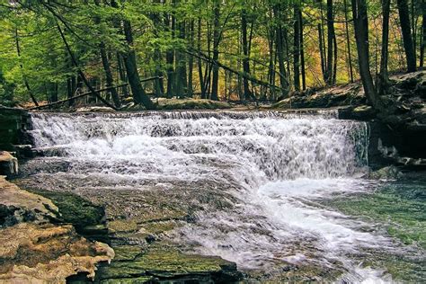 Salt Springs State Park In Franklin Forks, PA | America's State Parks