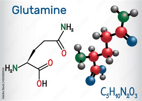 Glutamine Gln Q Amino Acid Molecule Structural Chemical Formula