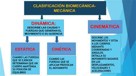 6 conceptos de Biomecánica que debes concoer