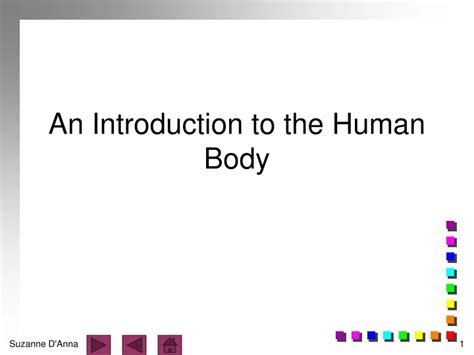 Ppt An Introduction To The Human Body Powerpoint Presentation Free Download Id9502399