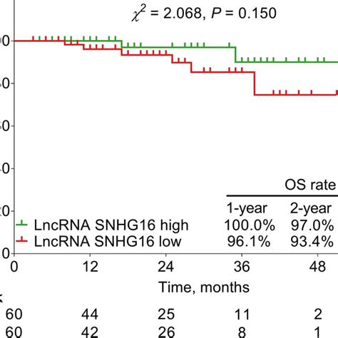 Long Non‐coding Rna Small Nucleolar Rna Host Gene 16 Lncrna Snhg16