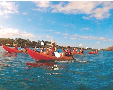 Maui Kayaks Kihei Atualizado 2022 O Que Saber Antes De Ir Sobre O