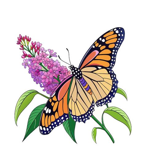 Premium Vector Monarch Butterfly Flying Illustration Monarch