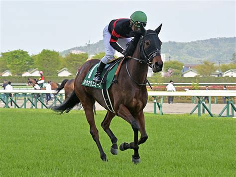 【エリザベス女王杯】ホウオウエミーズ天運が味方！ 日曜阪神競馬場はまた「恵みの雨」予報トレセン発秘話 競馬ニュース Netkeiba