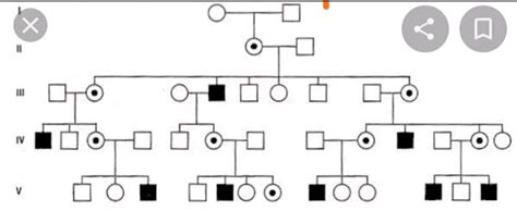 Write Genotypes Fpr This Pedigree Analysis Biology Principles Of