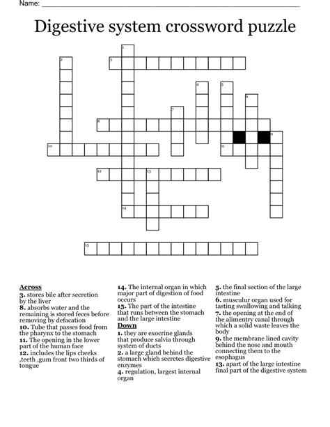 Similar To Digestive System Crossword WordMint