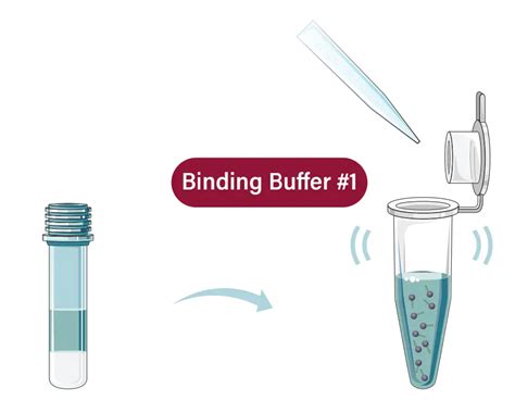 Galenvs Pr Qsg Plant Rna Extraction Kit User Guide