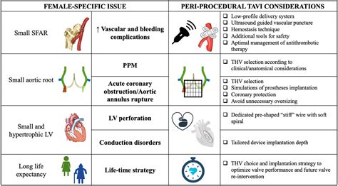 Sex‐specific Considerations In Degenerative Aortic Stenosis For Female‐tailored Transfemoral