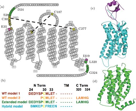 A Computational Study Of The Chemokine Receptor Cxcr1 Bound With