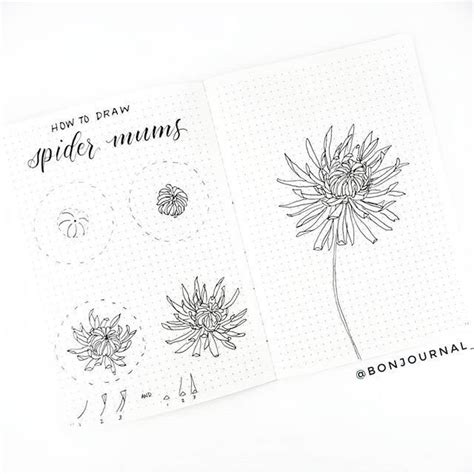 34 Best Step By Step Flower Doodle Tutorials For 2021 Atinydreamer