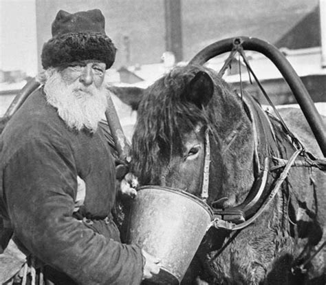 Какое значение имеет слово «шиш» на самом деле: karhu53 — LiveJournal