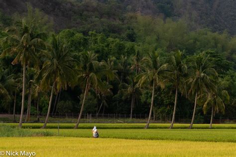 Farmer Heading Home Meinong South Taiwan Nick Mayo Photography