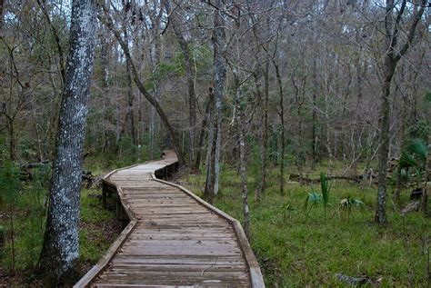 Big Cypress Trail – Florida Hikes