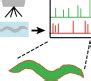 High Content Screening For Quantitative Cell Biology Trends In Cell