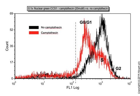 Cell Cycle Assay试剂盒 Fluorometric Green Abcam中文官网