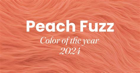 Pantone Color Of 2024 Peach Fuzz Amadine Useful Articles