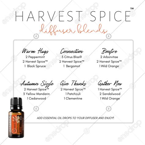 Harvest Spice Diffuser Blends By Pixel Perfect