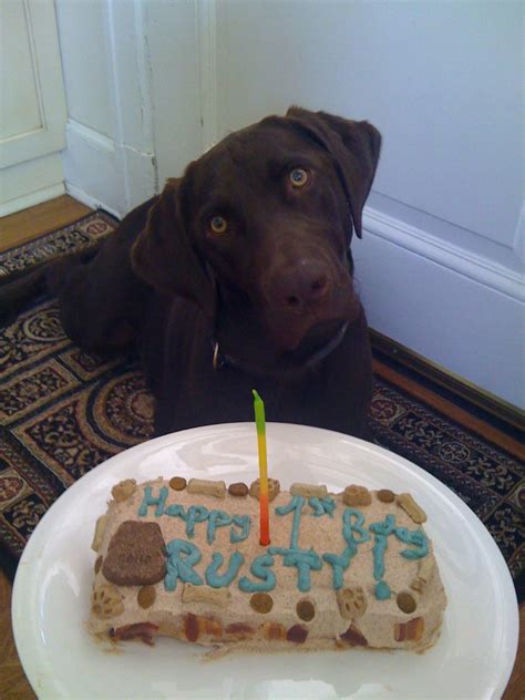 Dog Birthday Cake - BigOven