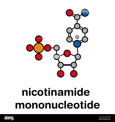 Nicotinamide Mononucleotide Molecule Precursor Of Nad Stylized