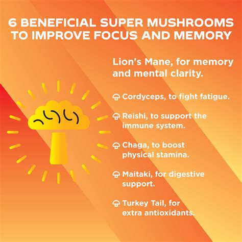 Lion S Mane Mushroom Capsules Pack Nootropic Brain Booster