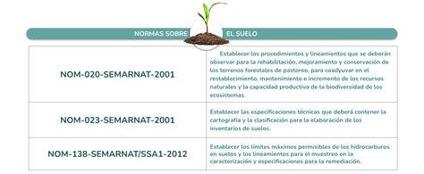 Clase Digital Leyes Reglamentos Y Normas En Materia De