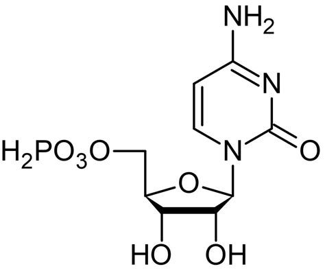 Cytidine-5'-monophosphate (CMP), Nucleoside monophosphate (CAS 63-37-6 ...